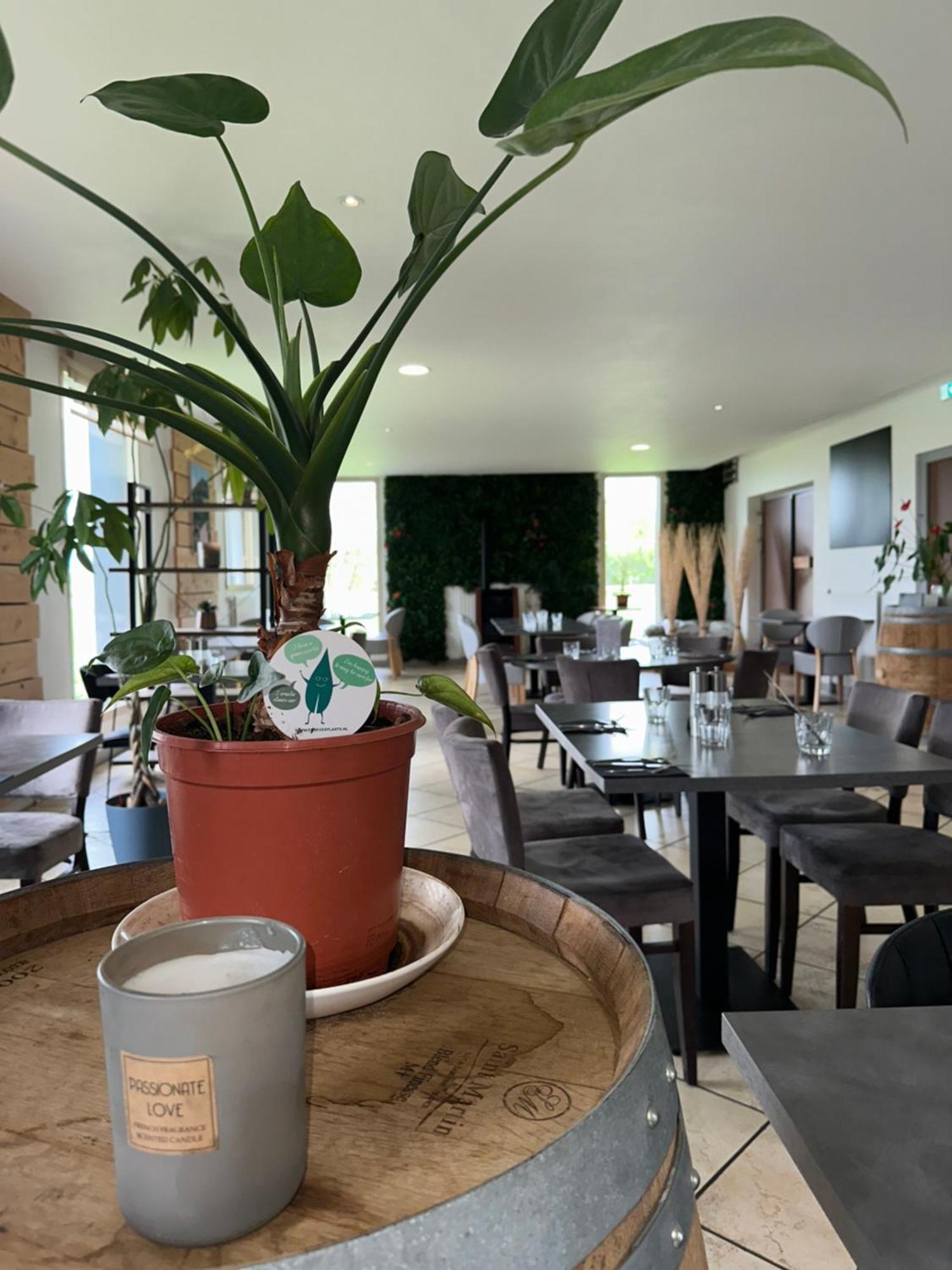 Logis Hotel Volcan Sancy Nébouzat المظهر الخارجي الصورة